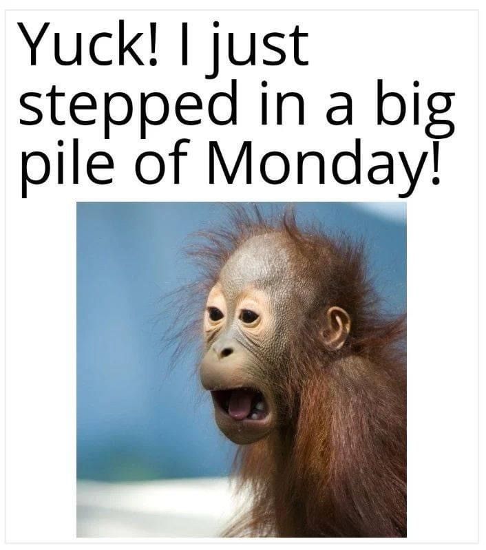 monday-jpg-t.72389