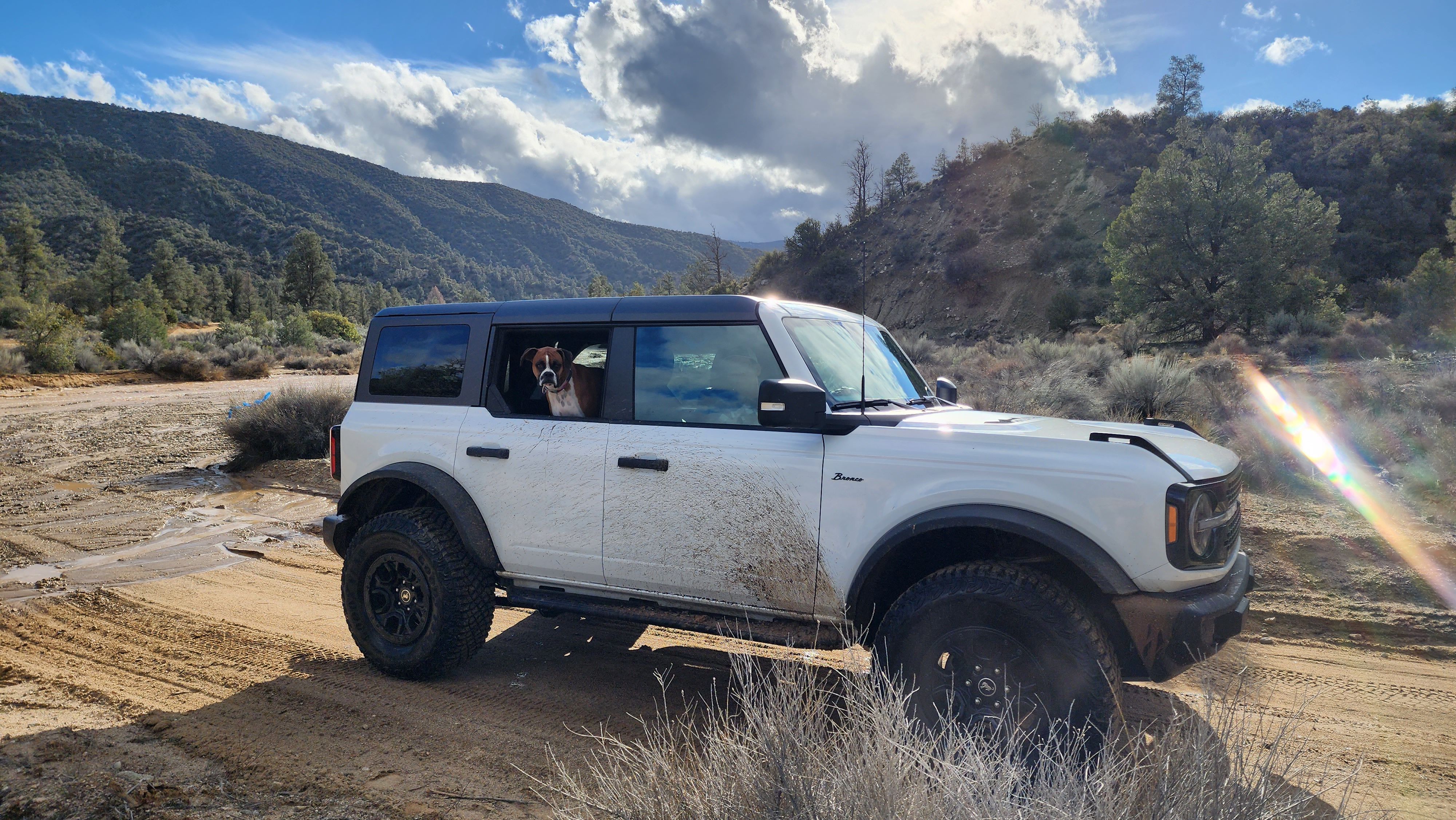 Does anyone still use ford fenders?