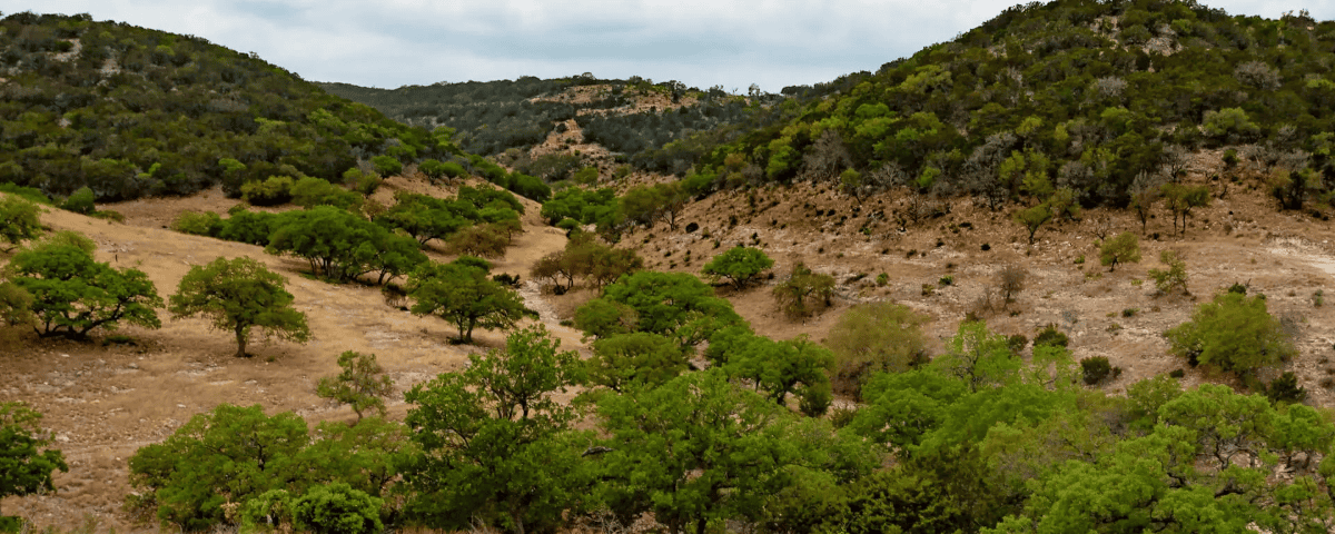 Hungry Valley