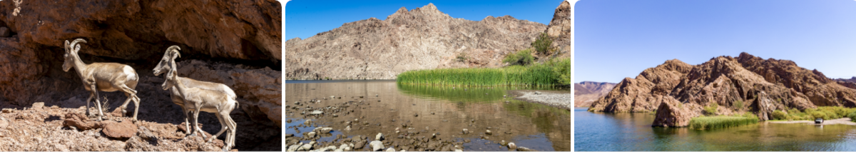 Las Vegas Hidden Wonders Challenge