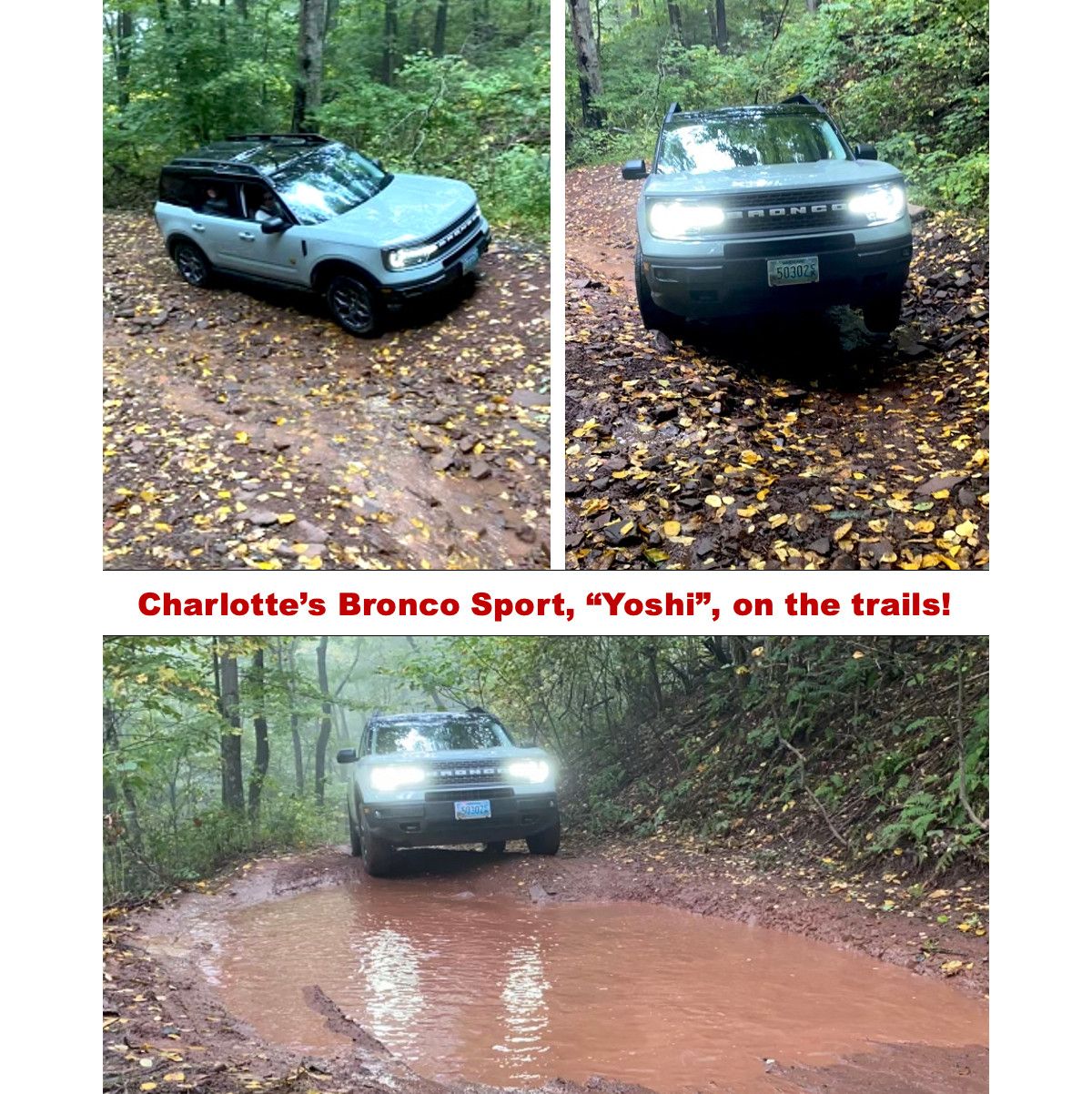 Mother-Daughter Bronco Sports