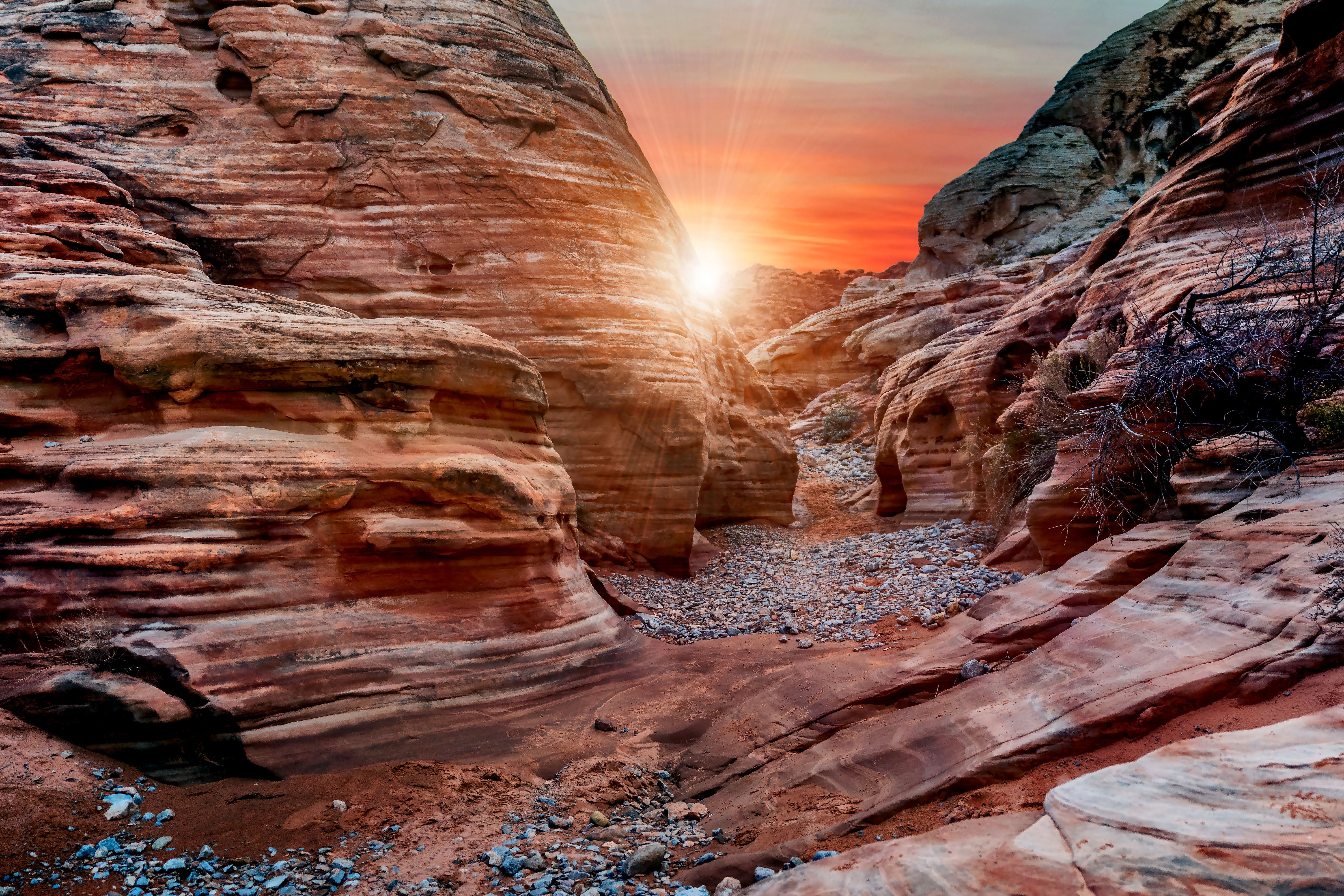 Nevada Red Rock